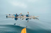 Half-Day Guided Sea Kayaking Adventure in Telegraph Cove