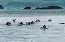 Half-Day Guided Sea Kayaking Adventure in Telegraph Cove