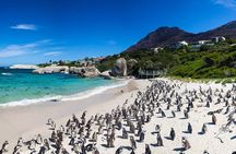 Full Day Private Cape Town and Peninsula Tour