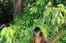 Full-day trip to Nicaragua