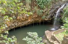 Private Annandale Waterfall & Forest Park Tour in Grenada