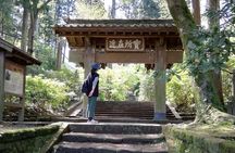 Private Tour of North Kamakura Temples with licensed guide