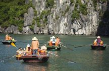 Ha Long Bay Day Cruise, Cave, Kayaking, Swimming, Bus & Lunch