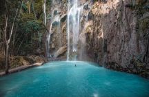 Cebu: Oslob Whale Sharks, Tumalog Falls and Sardines Snorkeling