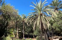 Half-Day Activity in Paradise Valley the hidden place