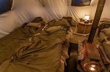 Overnight Stay with Reindeer Sledding & Feeding
