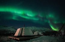 Overnight Stay with Reindeer Sledding & Feeding