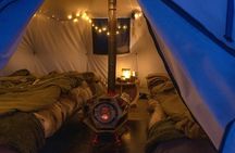 Overnight Stay with Reindeer Sledding & Feeding