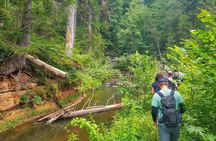 Full Day Gauja National Park Ultimate Hiking & Sightseeing Trip