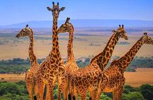 3 Days Amboseli National Park
