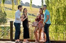 Wine Tour: Paarl, Franschhoek & Stellenbosch incl 3 wineries