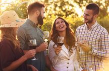 Wine Lovers - Revel in a Countryside Lunch with tasty wines!