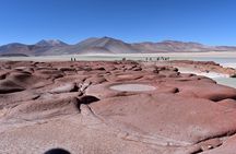 Full Day Tour Piedras Rojas Altiplanic Lagoons Chaxa Lagoon