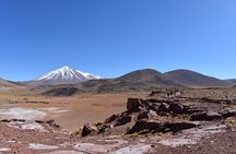 Full Day Tour Piedras Rojas Altiplanic Lagoons Chaxa Lagoon
