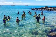Private Rincon Snorkeling Adventure