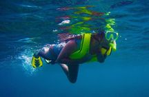 Private Rincon Snorkeling Adventure