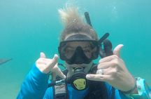 Discover Scuba Diving