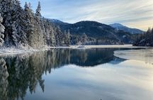 Whistler Half-Day Mountain Bike Tour