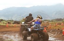 Oahu Beachfront ATV Adventure and Farm Tour