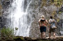  Tour Tahiti in Private 