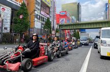 Akihabara: Go-Kart Experience with Local Guide in Tokyo