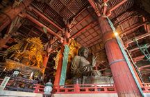 Nara Half-Day Bus Tour from Kyoto