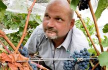 6hr Martinborough Chefs shared wine tour ŵ lunch from Wellington