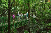 1 Full Private Tour to Arenal Volcano + Baldi Hot Springs