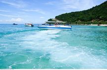 Cham Island Snorkeling - Wonderful Beach - Speedboat Daily Tour