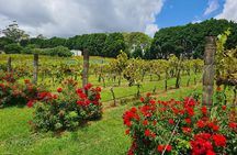 Full-Day Guided Wine Tour in Mt Tamborine From Gold Coast 