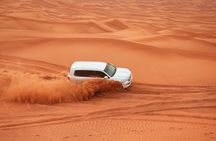 Red Dune Desert Safari with Live Shows and BBQ Dinner