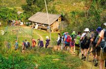 Ba Be National Park trekking & kayaking 3 days 2 nights