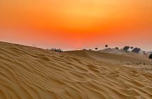 Desert Safari With Bab Al Shams Camp