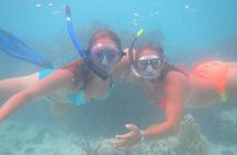 Glass Bottom Boat and Snorkeling Combo in Bermuda