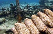 Shipwreck Snorkel in Bermuda