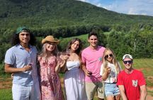 Atlanta - Visit Several GA Wineries - Pickup and Driver Included