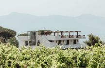 Scenic Wine Tasting & Lunch on the Slopes of Vesuvius from Naples