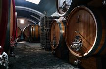 Scenic Wine Tasting & Lunch on the Slopes of Vesuvius from Naples