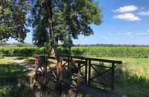 Blending workshop and tour of the chateau