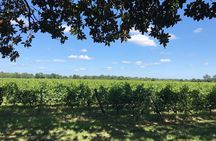 Blending workshop and tour of the chateau