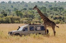 5 Days Budget Joining Adventure Camping Safari