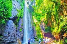 One Day Trip : Bogor City Tour With Lunch ( Start From Jakarta)