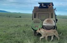 3 Days Masai Mara Safaris 