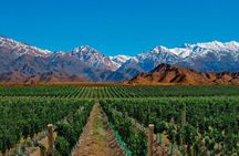 Full Day Private Guided Tour of Vinicolas de Mendoza