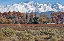 Full Day Private Guided Tour of Vinicolas de Mendoza
