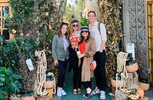Cheerful Introduction Walking Tour in Roma, Condesa & Juarez