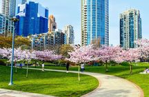  Vancouver City Tour with Cherry Blossom Festival Private