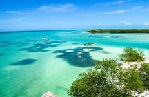 Full Day Holbox Island Tour from Playa del Carmen with Lunch