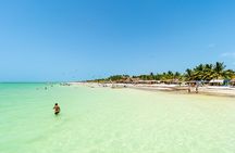 Full Day Holbox Island Tour from Playa del Carmen with Lunch