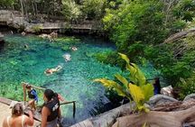 Cenotes Casa Tortugas Tour